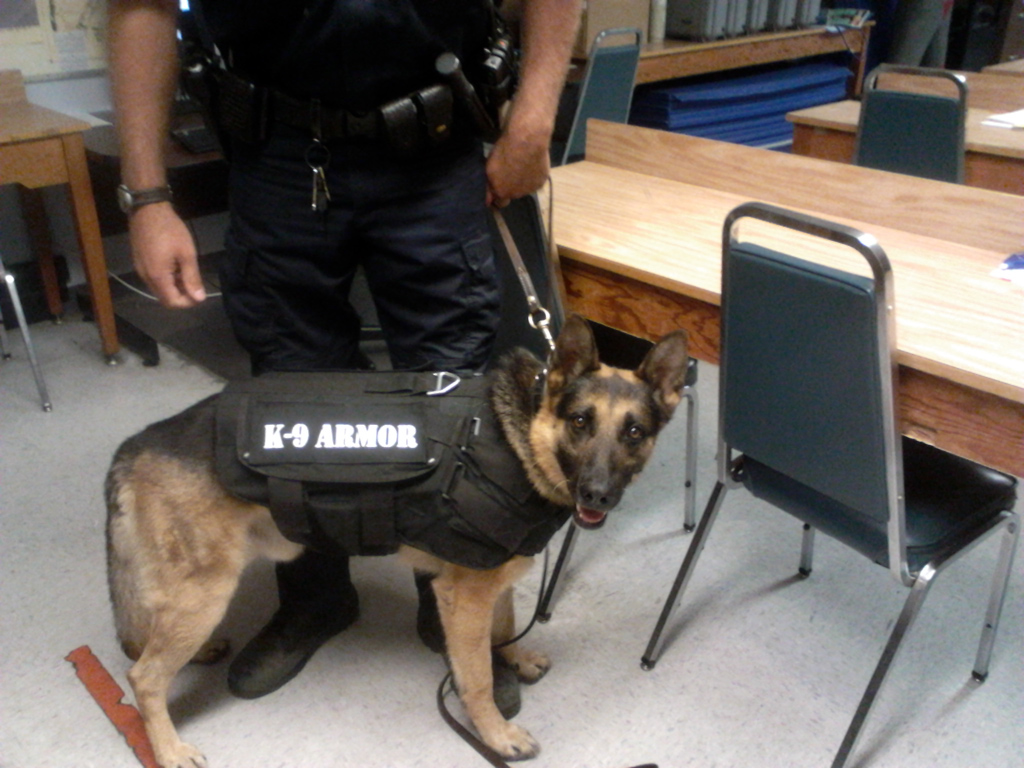 K-9 Armor is proud to protect CHP K9 Dax