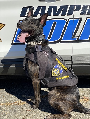 Smiles from Campbell Police K9 Koa. He received his K9 Armor vest in 2022