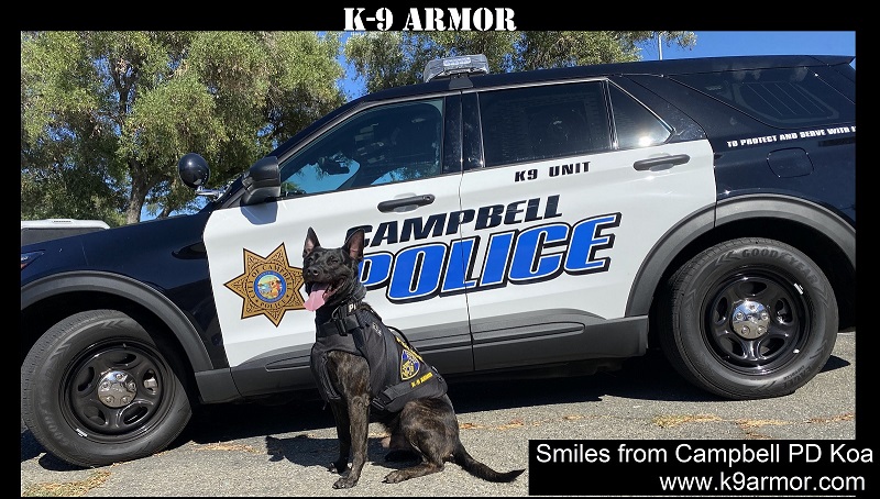 Smiles from Campbell Police K9 Koa