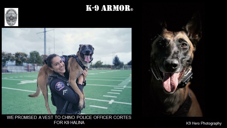 Donate to protect Chino Police K9 Halina for her partner Officer Cortes