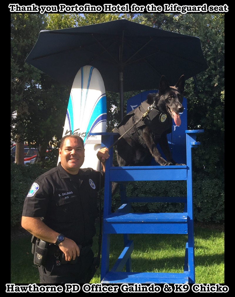 Hawthorne PD Officer Galindo and K9 Chicko. Thank you Portofino Hotel for the Lifeguard Chair for Chicko to keep watch!