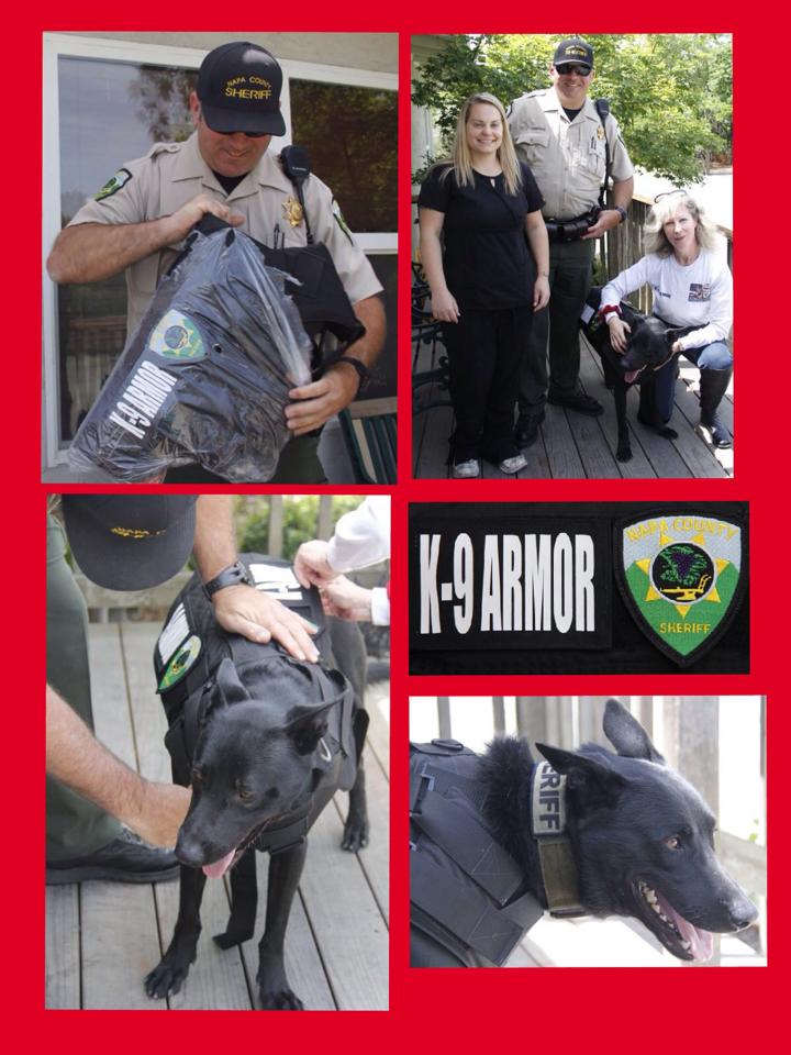 Napa County Sheriff K9 Nash receiving a K9 Armor bulletproof vest paid for by his veterinary technician Nadya Simon and delivered at the St Helena Veterinary Hospital on Deputy Thompson's birthday.