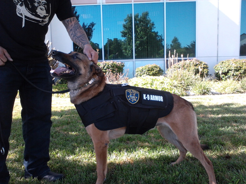 K-9 Armor is proud to protect San Pablo PD K9 Tango