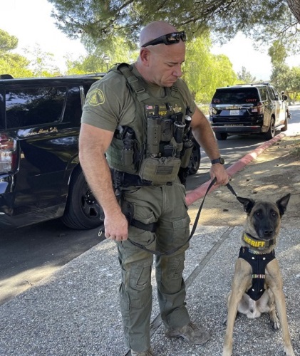 Donate to give a K9 Storm vest to K9 Alvin for Deputy Deacon