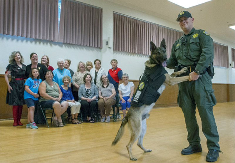 Sonoma PD Officer Jeff Sherman and K9 Dickie showing off his K-9 Armor vest donated by the Ladies Auxiliary of VFW Sonoma