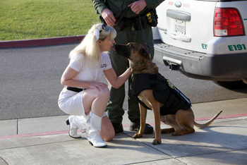 Open big picture Sonoma County Sheriff K9 Axl and K-9 Armor cofounder Suzanne Saunders