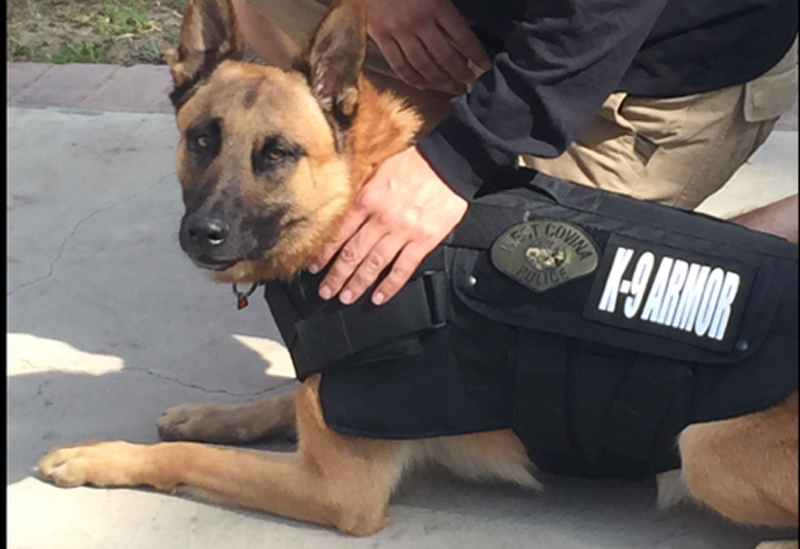 We covered West Covina Police K9 Heroes Robbie and Reiko and Rec and Rocky