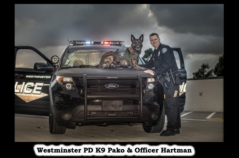 Thank you to the anonymous angel who donated to K9Armor.com to protect Westminster PD K9 Pako
